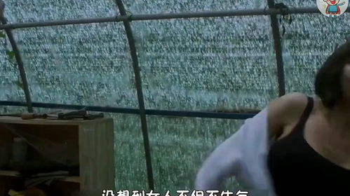 短剧荒岛免费在线观看_一部在荒岛的电视剧--第1张