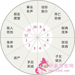 十二星座宫位查询表图_十二星座宫位查询表图解--第1张