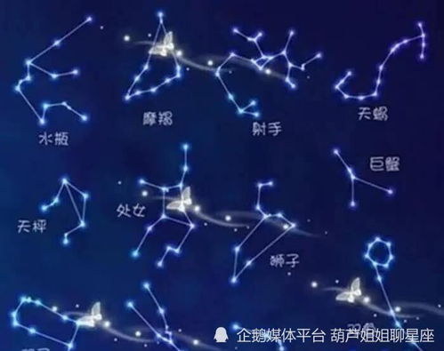 十二星座星盘查询表图片大全最新_十二星座占星图--第1张