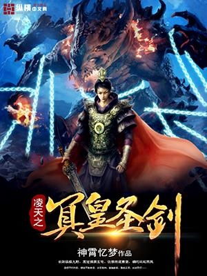 短剧皇凌天免费在线观看_凌天战皇--第1张
