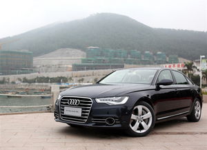 奥迪a6汽车_奥迪a6汽车油箱容量--第1张
