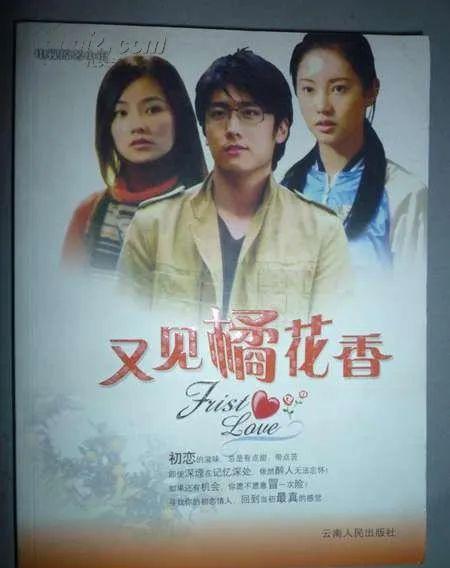 短剧分手后被迫继承家业免费在线观看_分手后继承亿万家产 小说--第1张