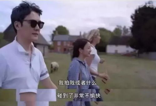 短剧爱不单行离婚冷她三年后，霍总膝盖跪穿了免费在线观看--第1张