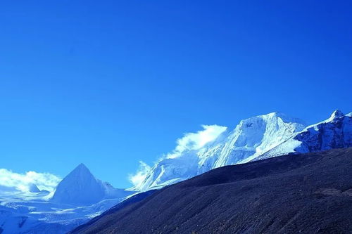 十二星座端午运势查询表_十二星座端午运势查询表最新--第1张