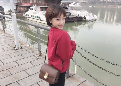短剧巅峰神婿免费在线观看_巅峰赘婿在线阅读免费--第1张