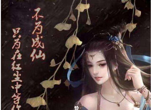 短剧女帝的贴身总管免费在线观看_女帝的日常麹风来--第1张