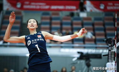 短剧一代圣手，从离婚后崛起免费在线观看--第1张