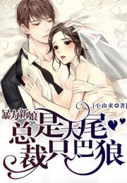 热播短剧狼婿出山免费在线观看_狼婿 小说--第1张