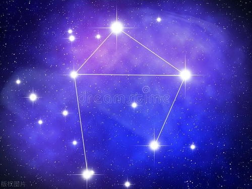十二星座花心查询表图片_十二星座花心排行榜--第1张