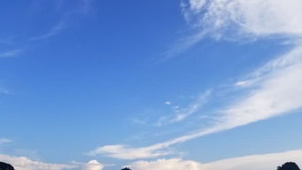 短剧飞上蓝天空中奇遇免费在线观看_飞上蓝蓝的天空是哪首歌的歌词--第1张