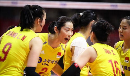 短剧捡个美女带我逆天改命免费在线观看_捡个美女回家修炼--第1张