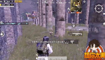 短剧不装了，脚踹渣男后我成了全球女战神免费在线观看_胖妞逆袭渣男悔上天短剧免费观看--第1张