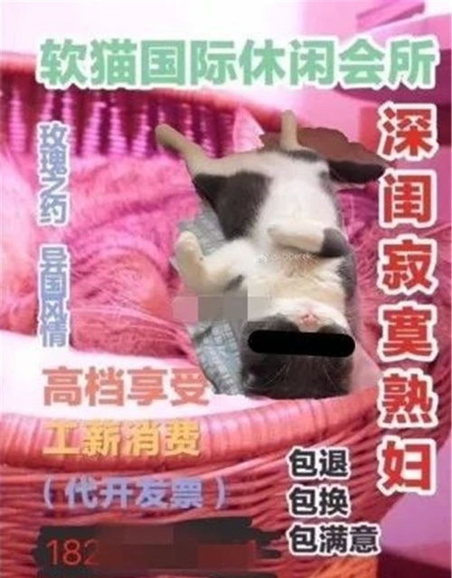 短剧怪我情有独钟出狱后，薄情前夫成了舔狗免费在线观看_怪我无情原创--第1张