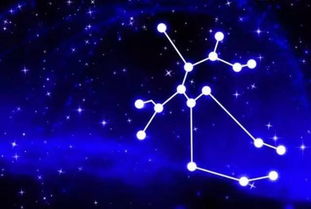 星座表十二星座查询射手女_公认最漂亮的四大星座女--第1张