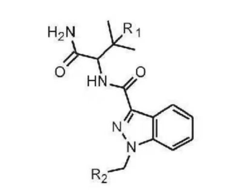 短剧季总你认错老婆了$远在眼前的你免费在线观看的简单介绍--第1张