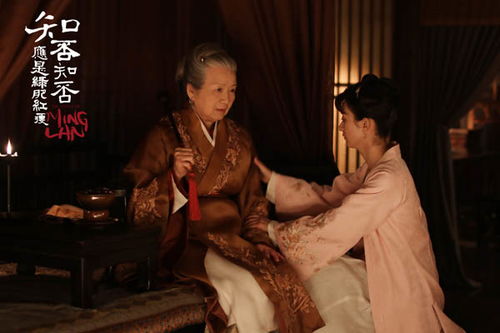 短剧傅总，夫人这次真的死了免费在线观看_傅总夫人今天不营业--第1张