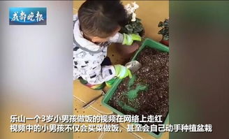 短剧跪在女儿坟前忏悔，我重生了免费在线观看_跪在坟前的男孩--第1张