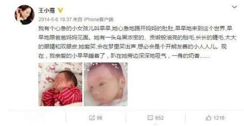 短剧藏起孕肚离职，霍总急疯了郑晨雨免费在线观看_她藏起孕肚,抛弃了那个宠她如命的男人--第1张