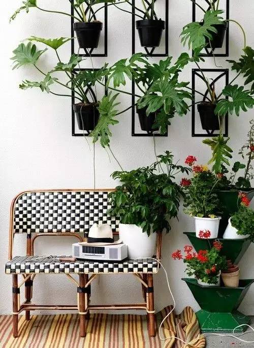 懒人露台绿植怎么养活视频_露台绿植小屋效果图--第1张