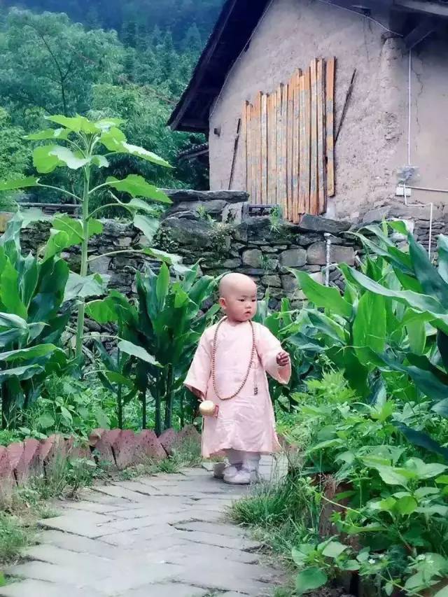 短剧来自深山的凝望长篇免费在线观看_来自深山的问候--第1张