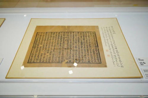 附庸风雅造句_附庸风雅造句简单一点--第1张