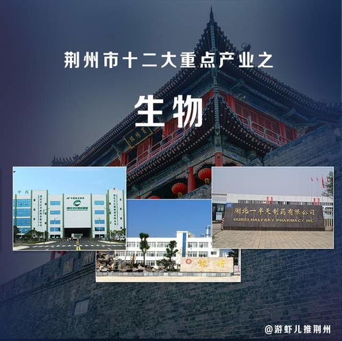 短剧离婚后我成了亿万女王免费在线观看_离婚后我成了千亿富翁免费阅读--第1张