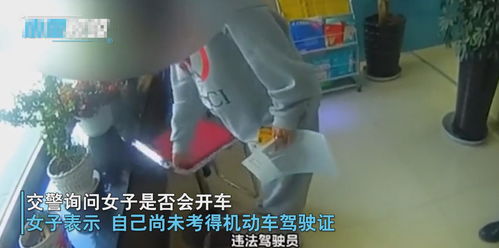 短剧领证后，被总裁老公高调宠免费在线观看_免费1100集短剧已完结--第1张