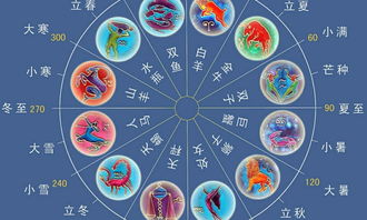 星座十二宫查询表图解_星座十二宫查询表图解视频--第1张