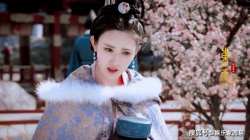 短剧宋总，她才是你要找的颜小姐免费在线观看_宋总是哪部电视剧--第1张