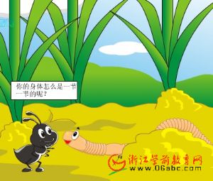 手工懒人绿植教案中班美术_手工懒人绿植教案中班美术--第1张