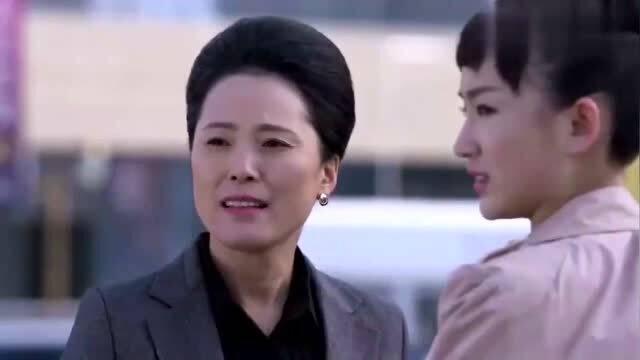 短剧总裁老婆的神秘傻婿免费在线观看_总裁的妻子--第1张