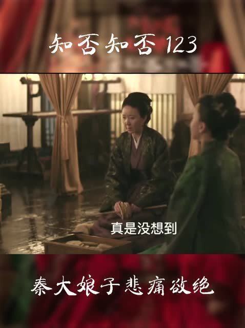 短剧顾总，夫人她认罪跳楼了免费在线观看_顾总夫人又闹离婚啦--第1张