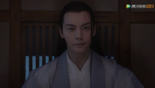 短剧贺总夫人喊你别演了免费在线观看_贺总别虐了,夫人这次真的死了--第1张
