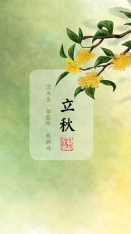 短剧云天收夏色免费在线观看_云天收夏色 木叶动秋--第1张