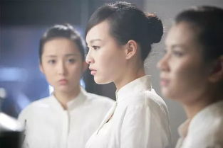 热播短剧陛下，臣真是忠臣啊赵慧楠免费在线观看_陛下,臣只想--第1张
