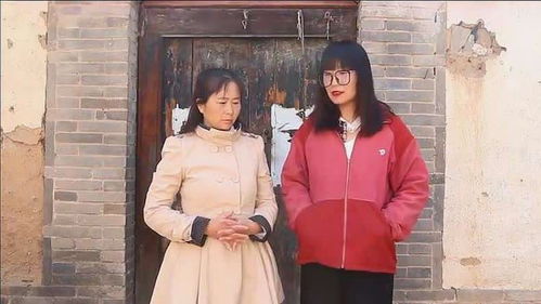 短剧顾总，太太又在闹离婚分免费在线观看_顾太太又想离婚--第1张