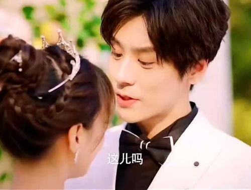 短剧少帅的小娇妻免费在线观看_少帅的小悍妻免费阅读--第1张