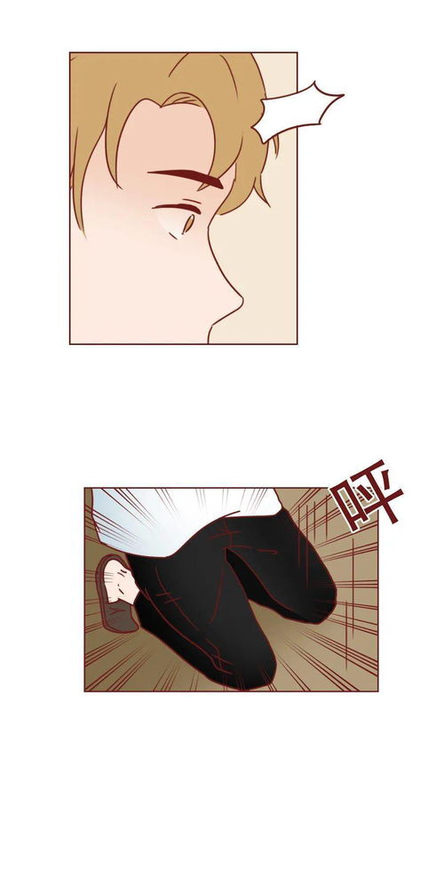 短剧离婚后公布身份，老婆后悔了免费在线观看_离婚后暴露身份的小说--第1张