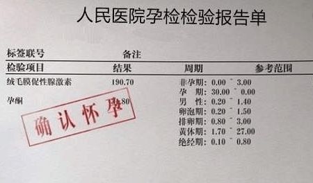 热播短剧-离婚后，前夫捡到了我的孕检单免费在线观看_离婚后前夫视我如宝免费阅读--第1张