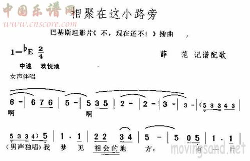 短剧相思不似相逢免费在线观看_相思不如相聚好简谱--第1张