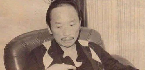 庆余年小说笔趣趣网免费阅读_庆余年 小说无弹窗免费阅读--第1张