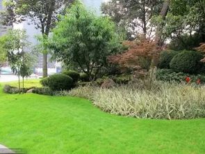 室内懒人绿植花坛_室内花坛景观植物搭配--第1张