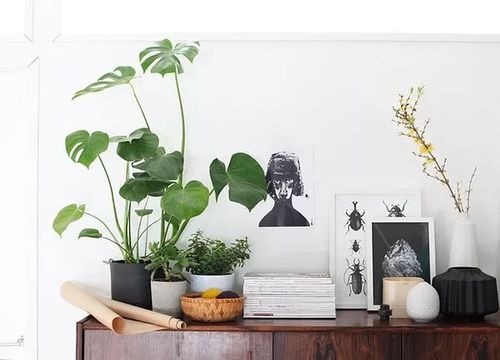 窗户休闲区绿植懒人沙发_窗户放什么植物盆栽--第1张