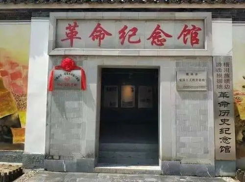 短剧狂飙之傻婿觉醒免费在线观看_140集已完结免费电视剧--第1张