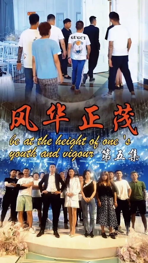 短剧风华正茂免费在线观看_风华正茂电视剧百度百科--第1张
