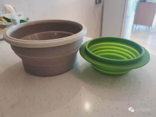 短剧回到，狂揽百亿资产免费在线观看_回到暴富的那年免费阅读--第1张