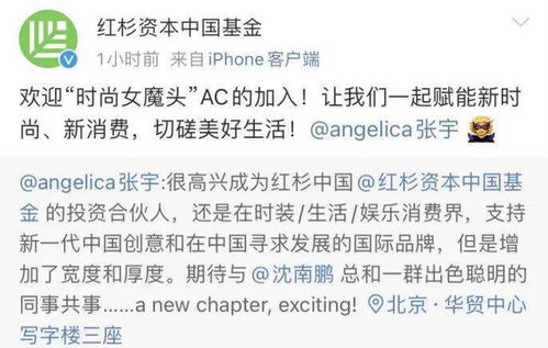 短剧股王废婿免费在线观看_股王投资新浪博客--第1张