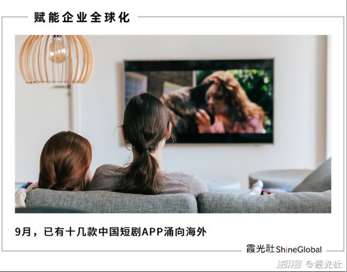 短剧分手后，我被陆总宠上天马乐婕免费在线观看_分手后我爆火了全文免费 小说--第1张