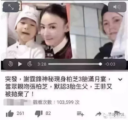 热播短剧-一胎双宝，夫人拒不复婚免费在线观看_一胎双宝免费阅读--第1张