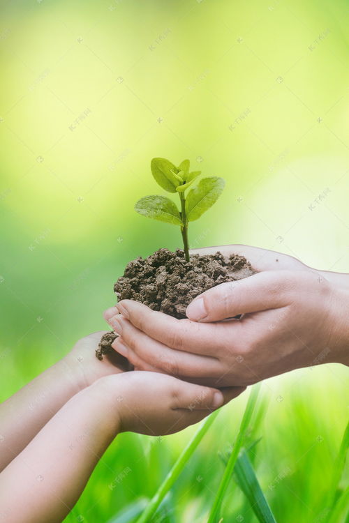 懒人户外绿植图片高清_懒人户外绿植图片高清大图--第1张